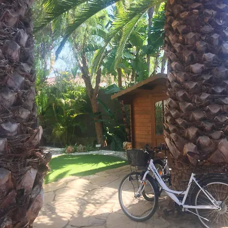 De Lujo Con Jardines Y Piscina Villa