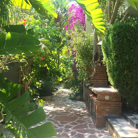 De Lujo Con Jardines Y Piscina Villa